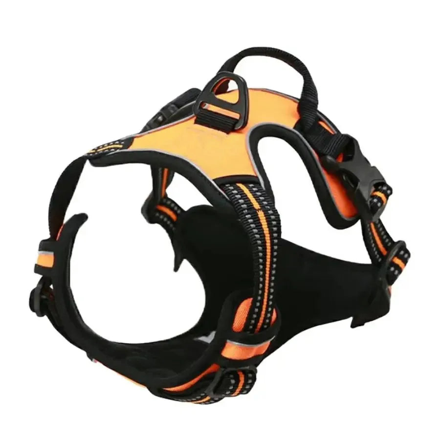 Petflx WalkSet