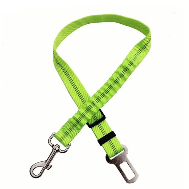 Petflx Car Leash