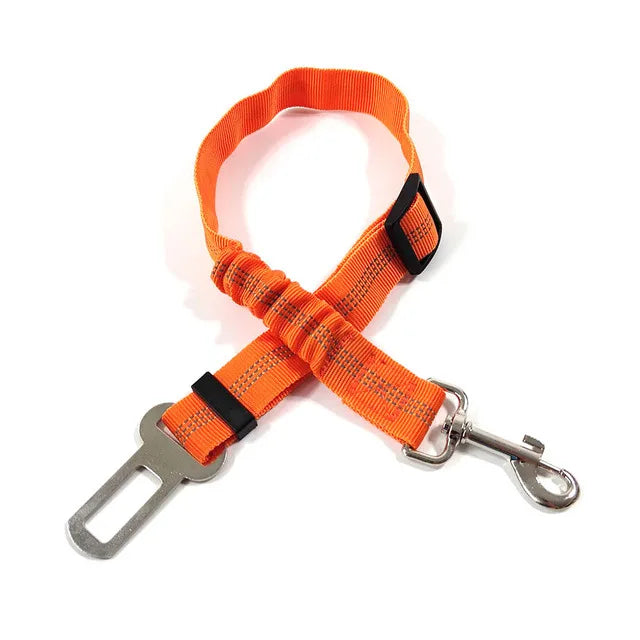 Petflx Car Leash