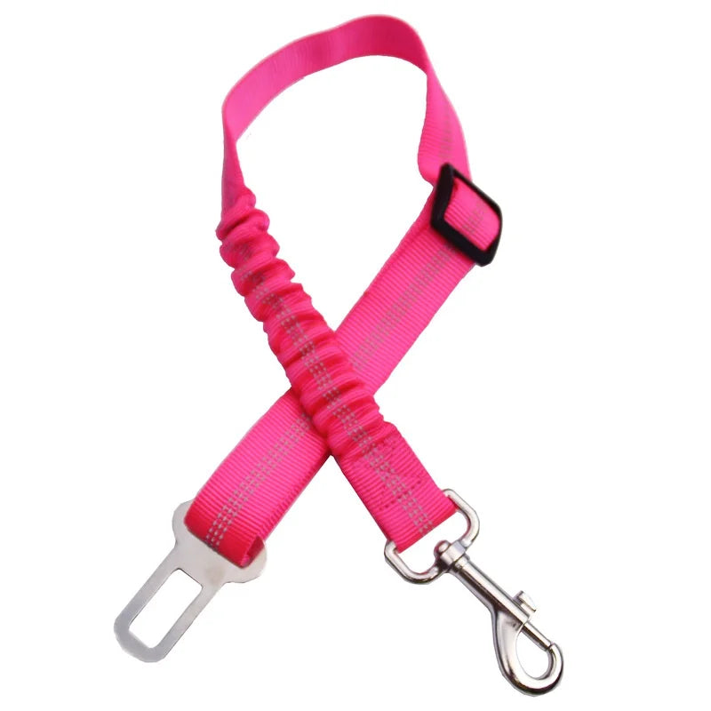 Petflx Car Leash