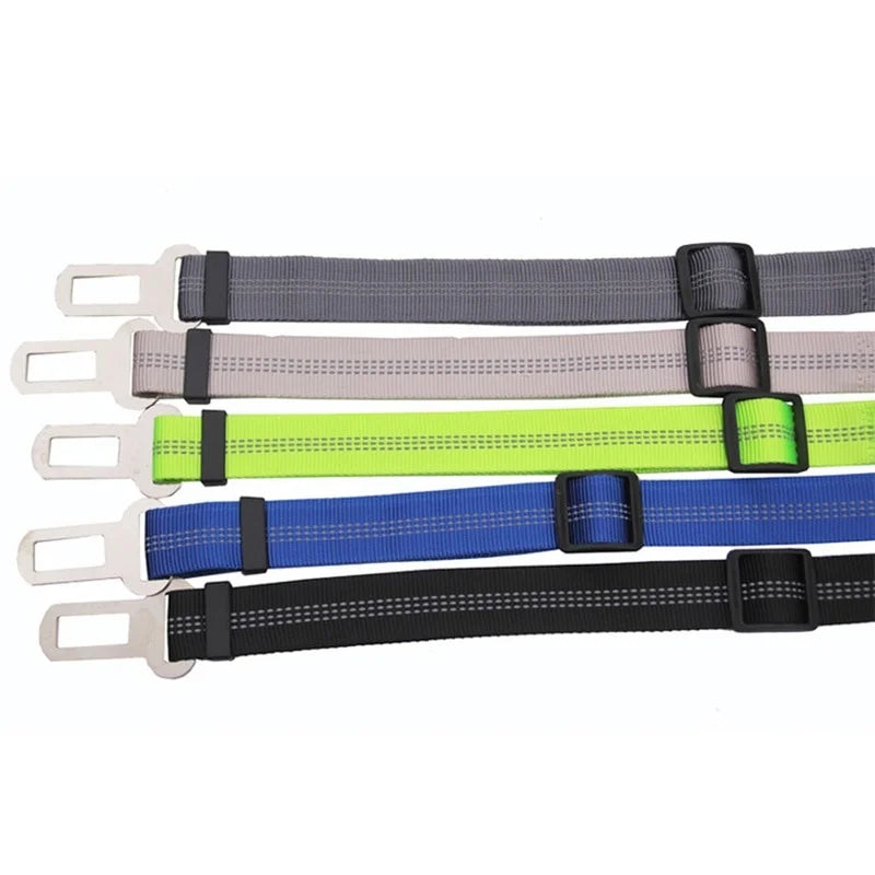 Petflx Car Leash