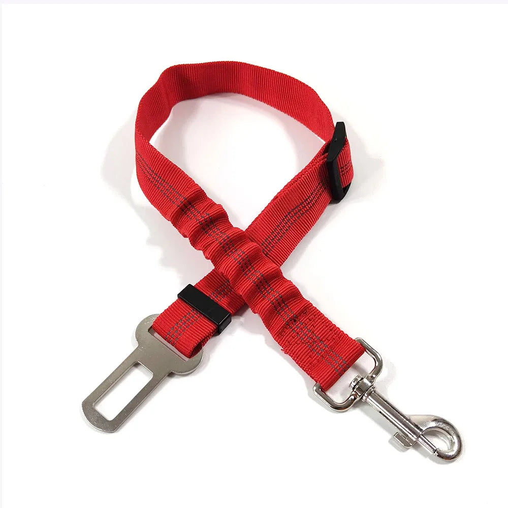 Petflx Car Leash