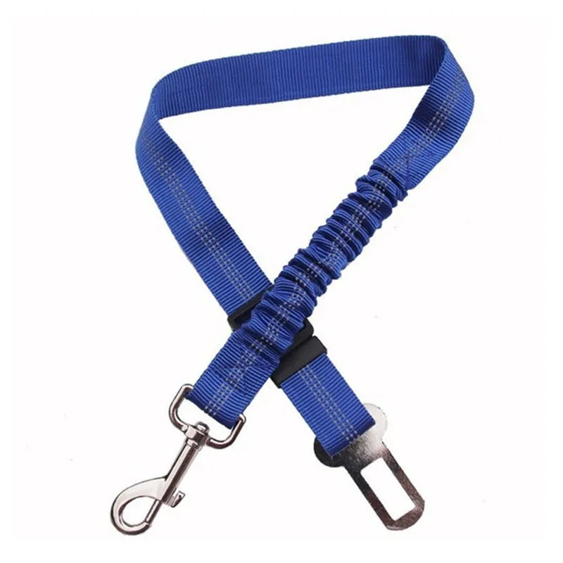 Petflx Car Leash