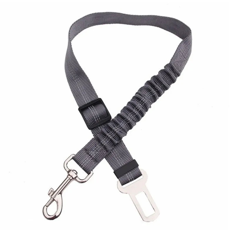 Petflx Car Leash