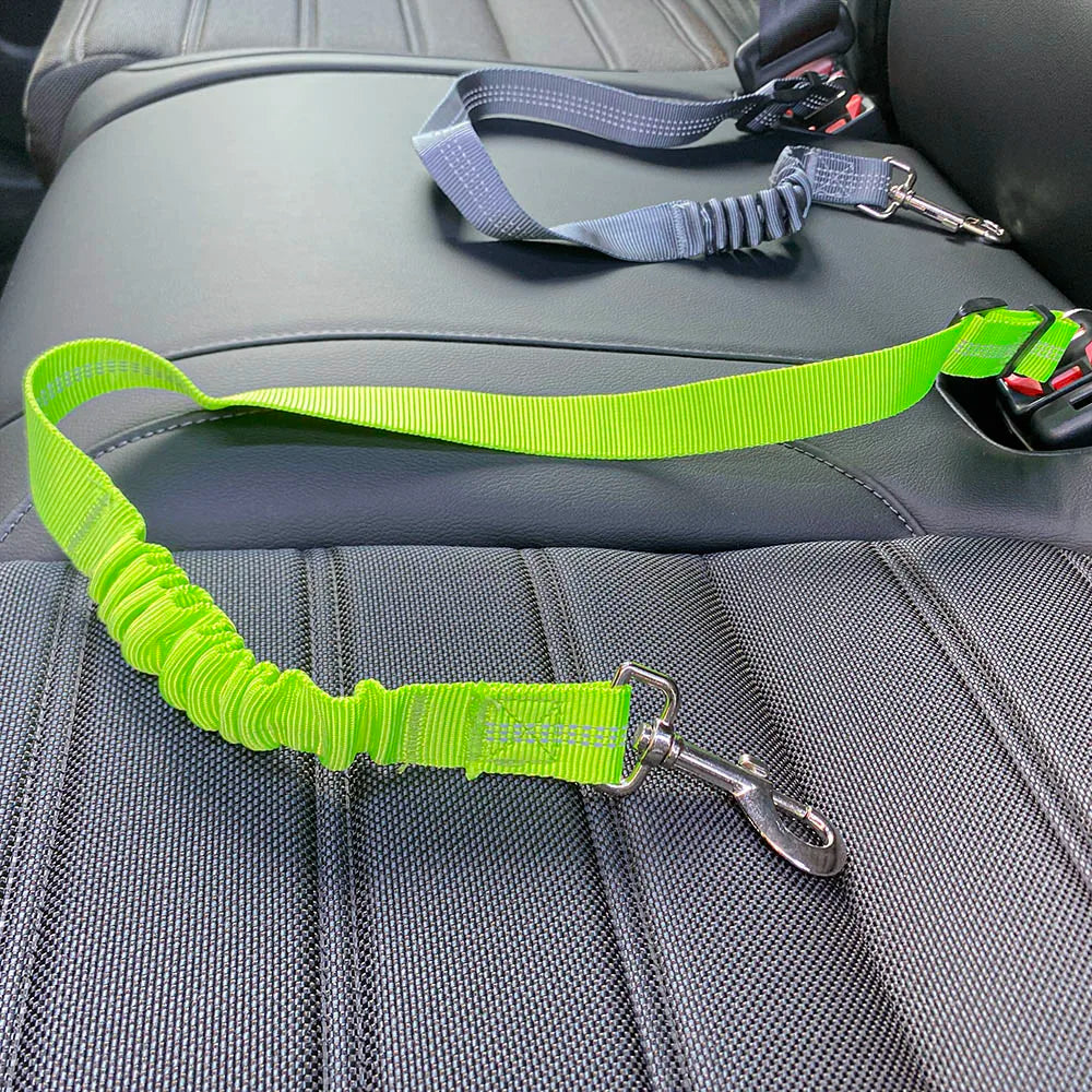 Petflx Car Leash