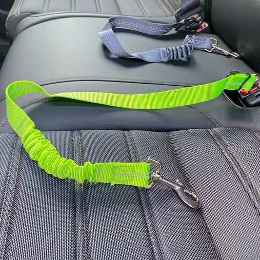 Petflx Car Leash