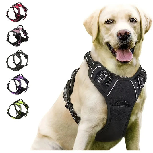 Petflx WalkSet