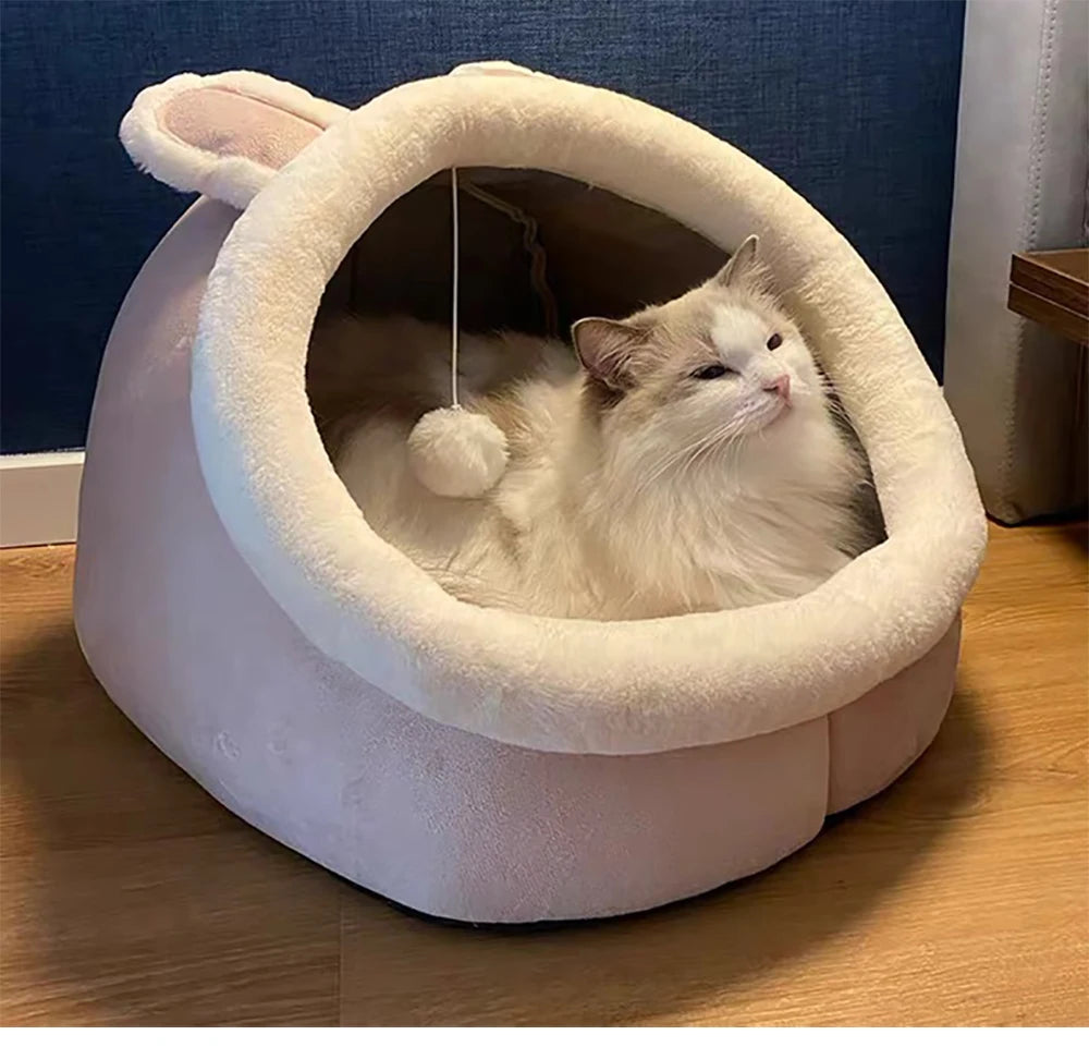 Petflx DreamCave