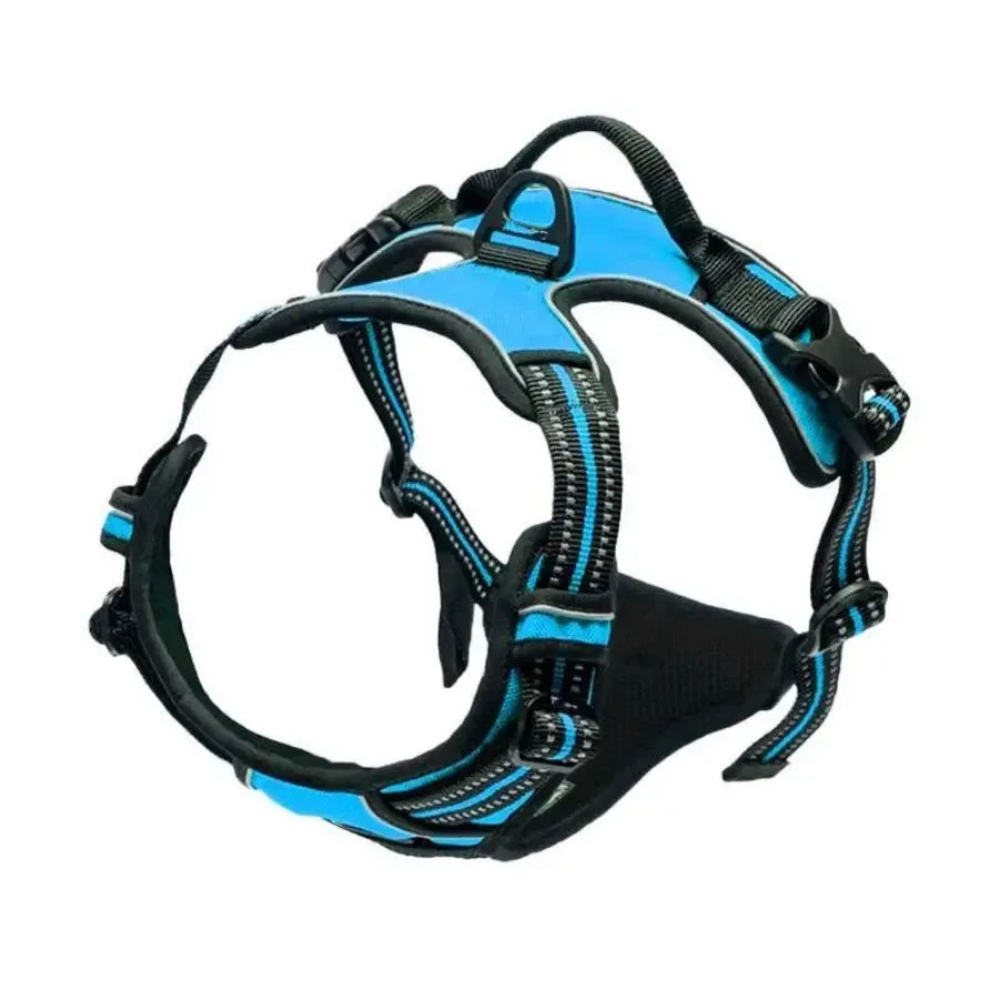 Petflx WalkSet