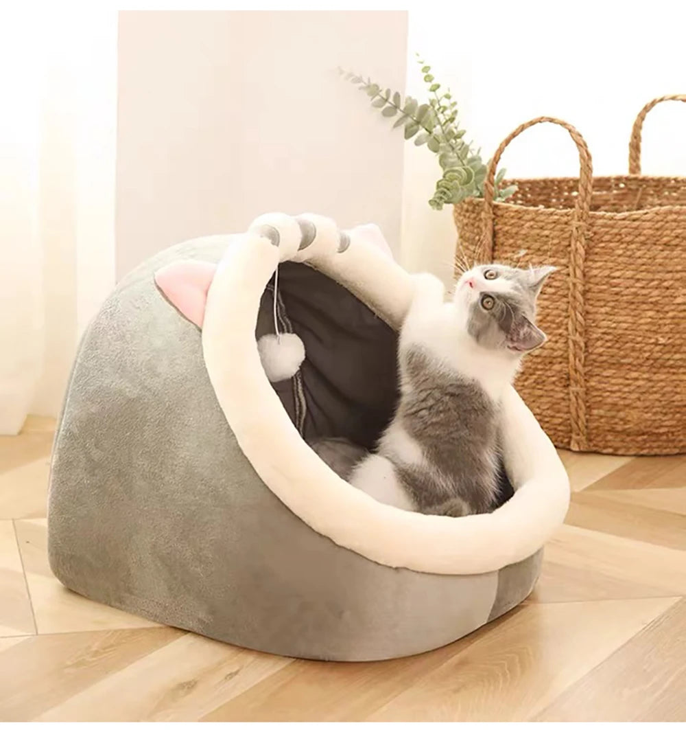 Petflx DreamCave