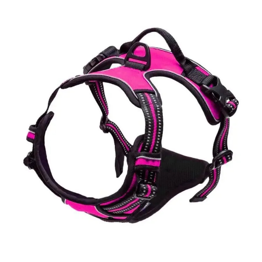 Petflx WalkSet