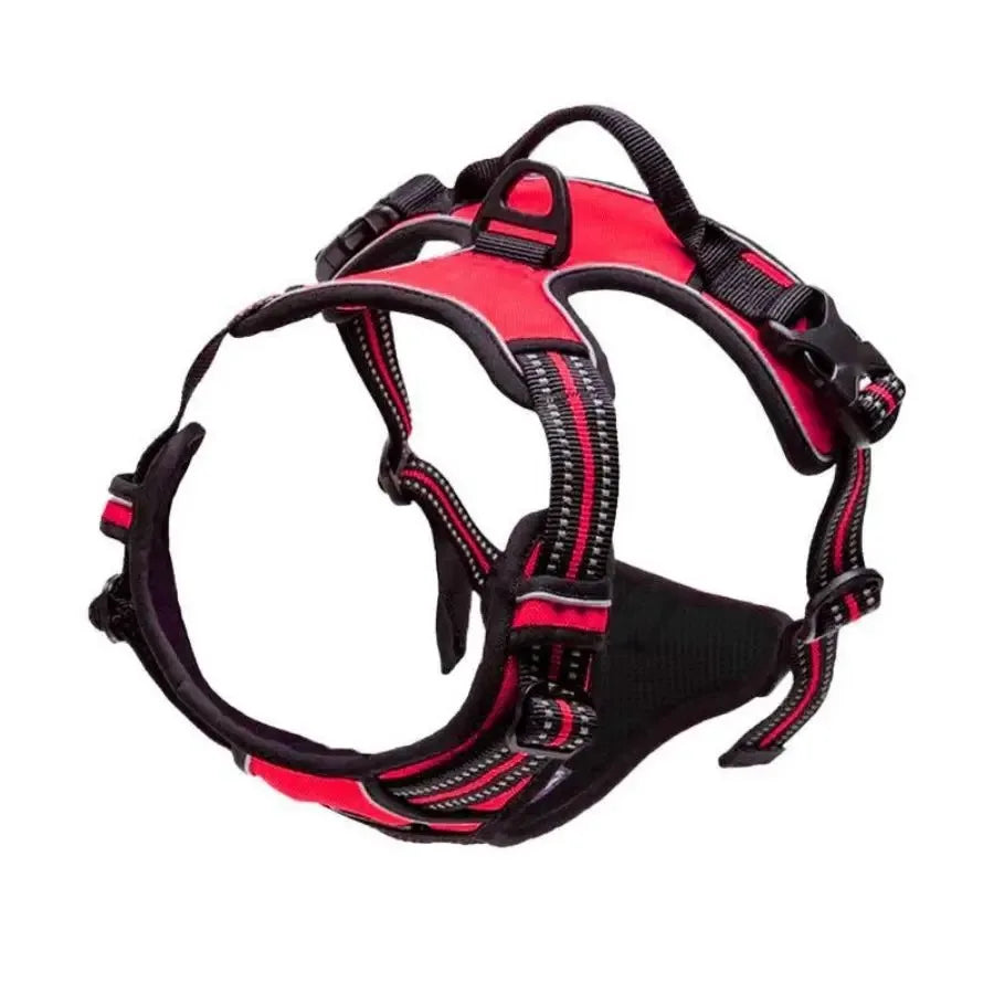 Petflx WalkSet