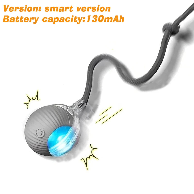 Petflx Smart Rolling Ball – Interactive Pet Toy