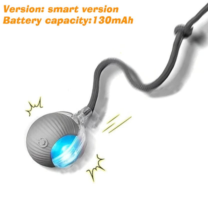 Petflx Smart Rolling Ball – Interactive Pet Toy
