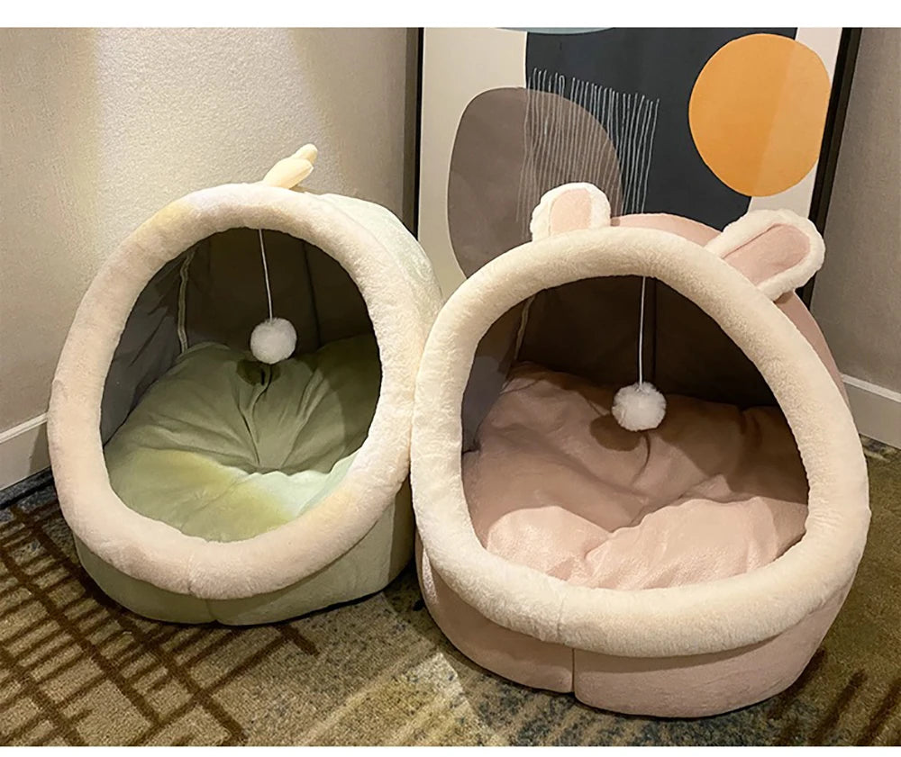 Petflx DreamCave