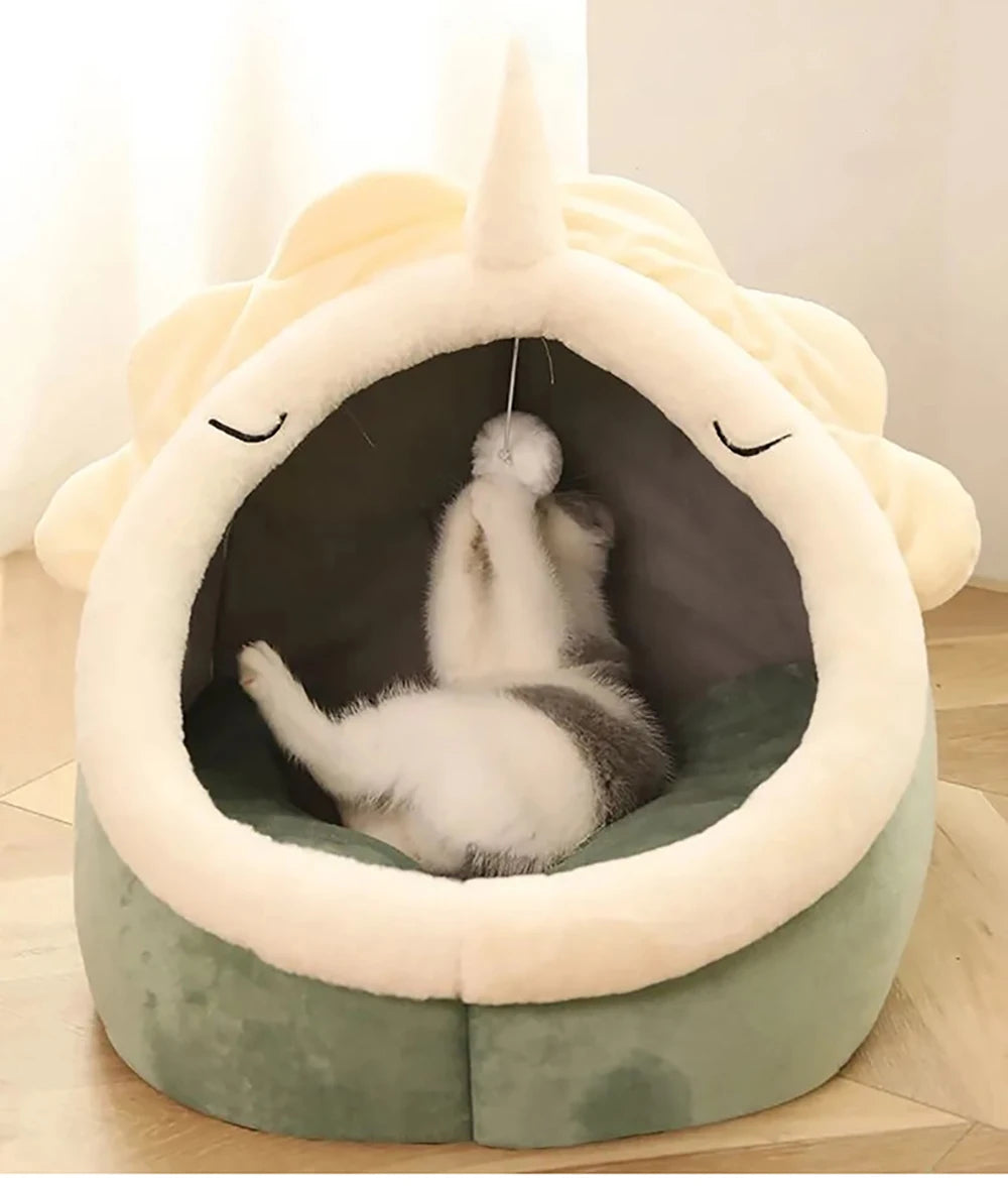 Petflx DreamCave