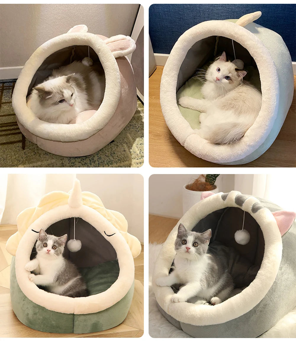 Petflx DreamCave