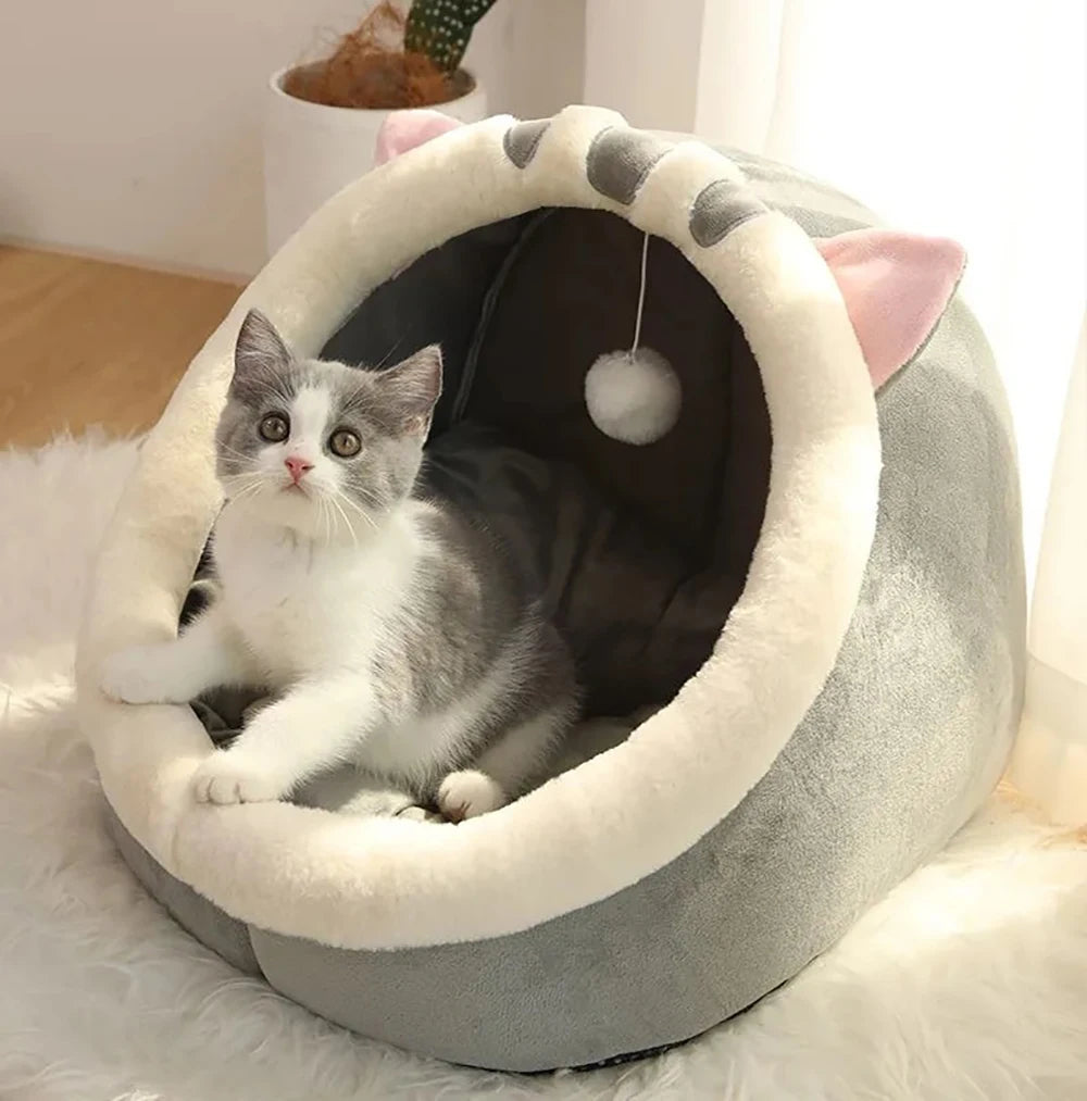 Petflx DreamCave