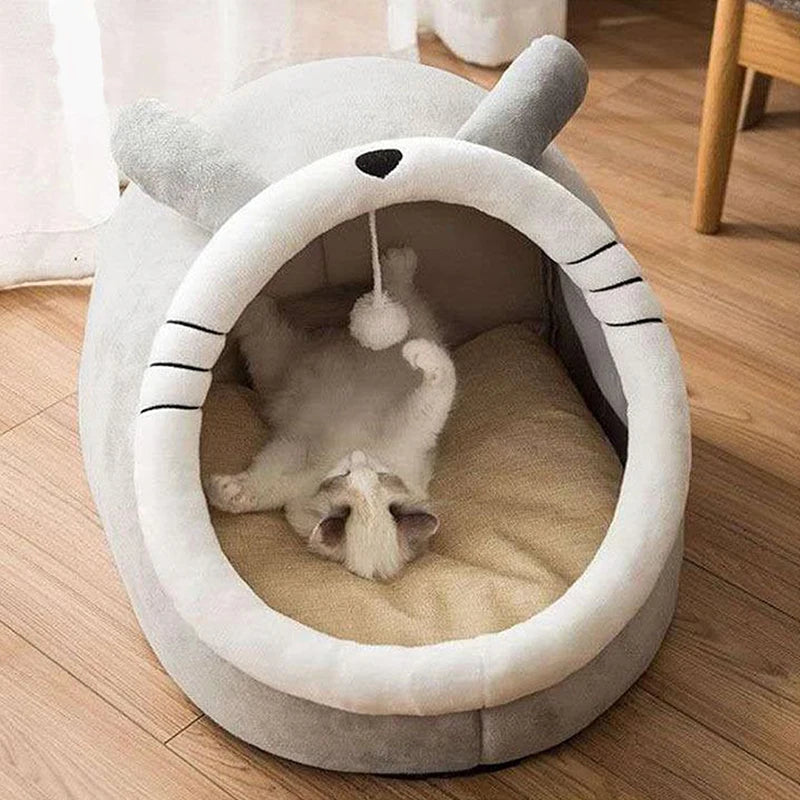Petflx DreamCave