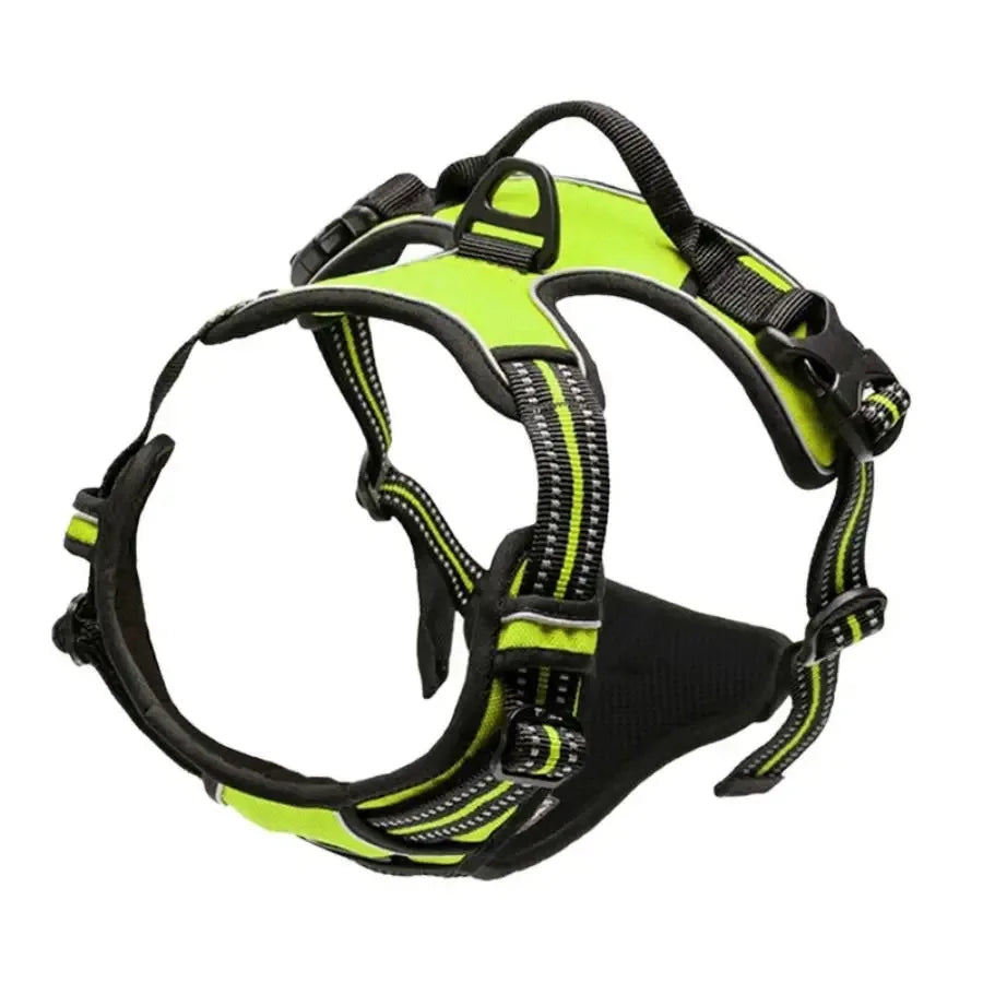 Petflx WalkSet