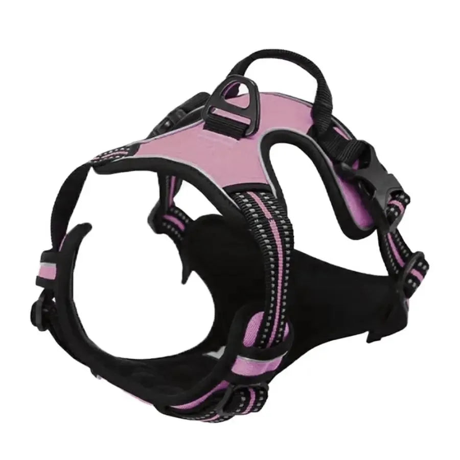 Petflx WalkSet