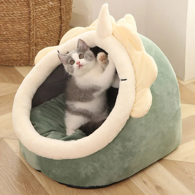 Petflx DreamCave