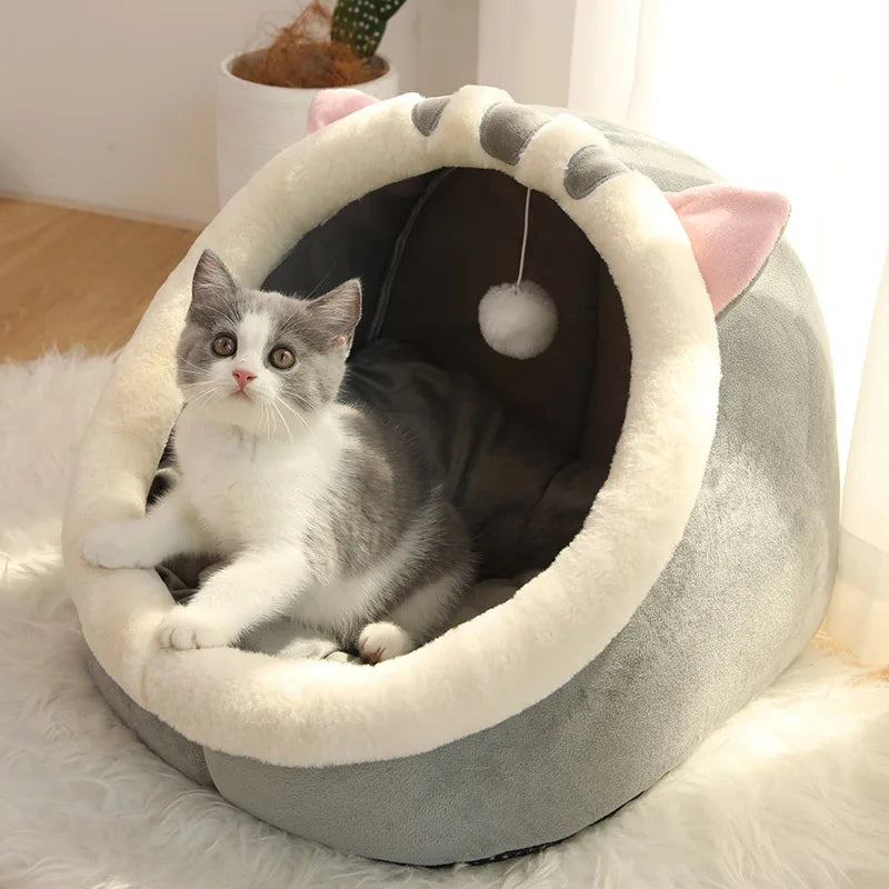 Petflx DreamCave