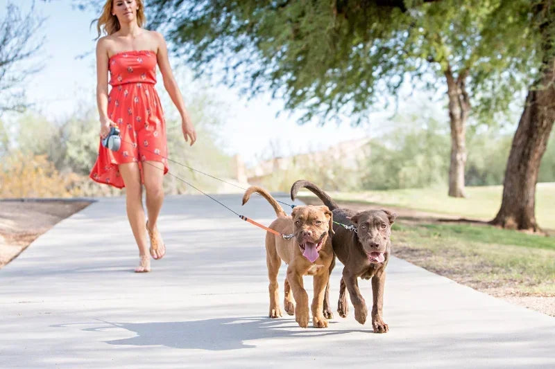 Petflx Duo Leash
