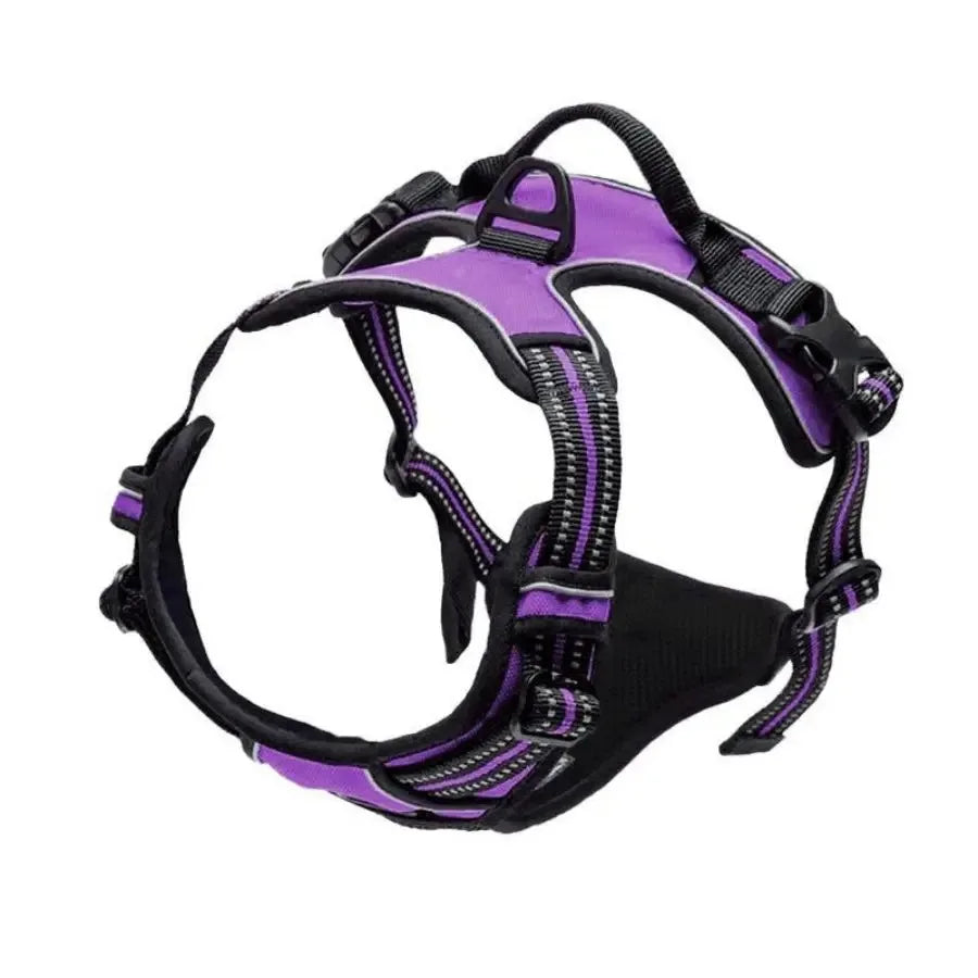 Petflx WalkSet