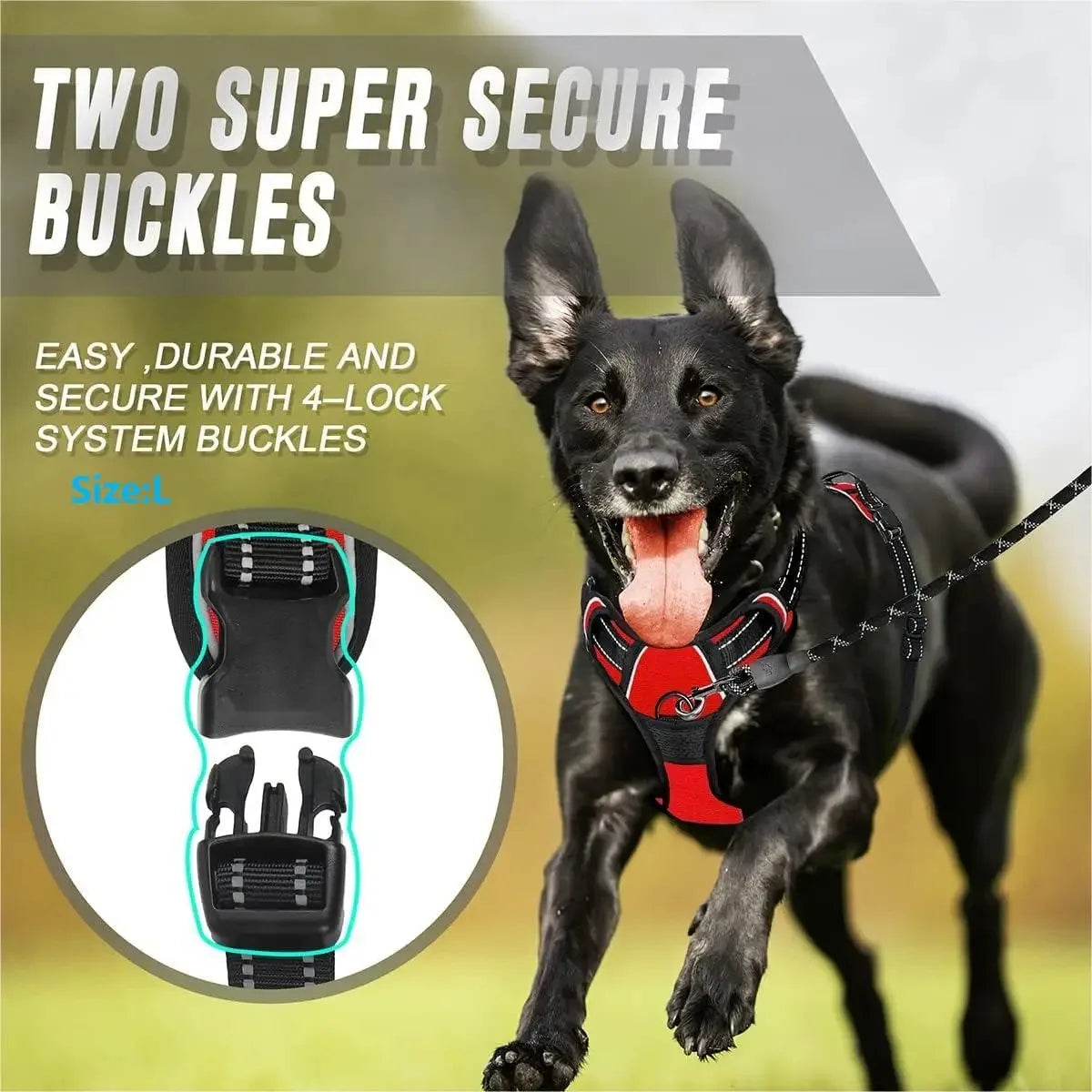 Petflx WalkSet