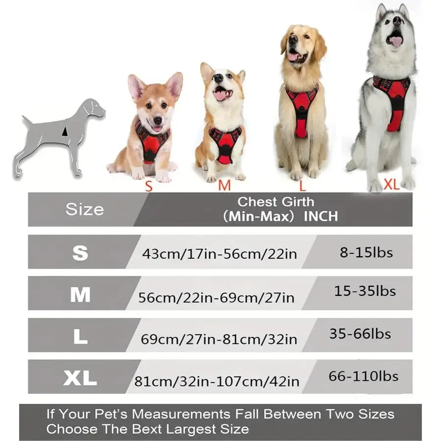 Petflx WalkSet