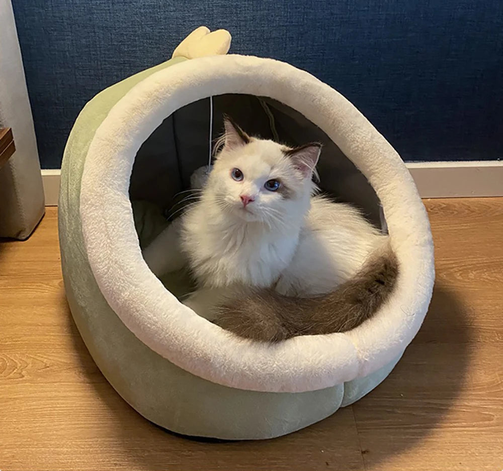 Petflx DreamCave