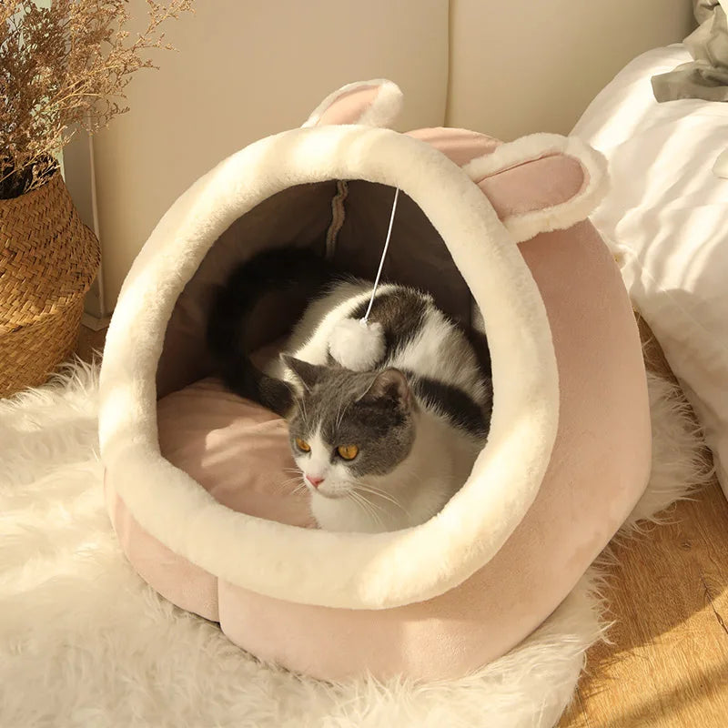Petflx DreamCave