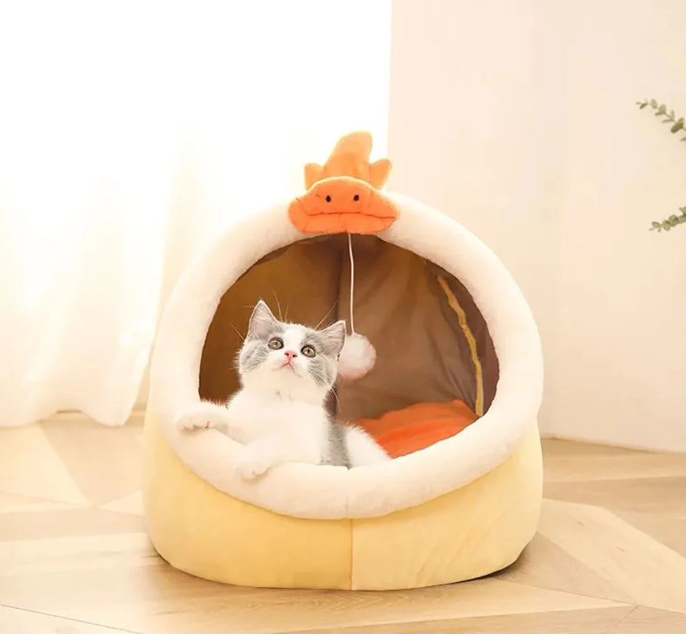 Petflx DreamCave