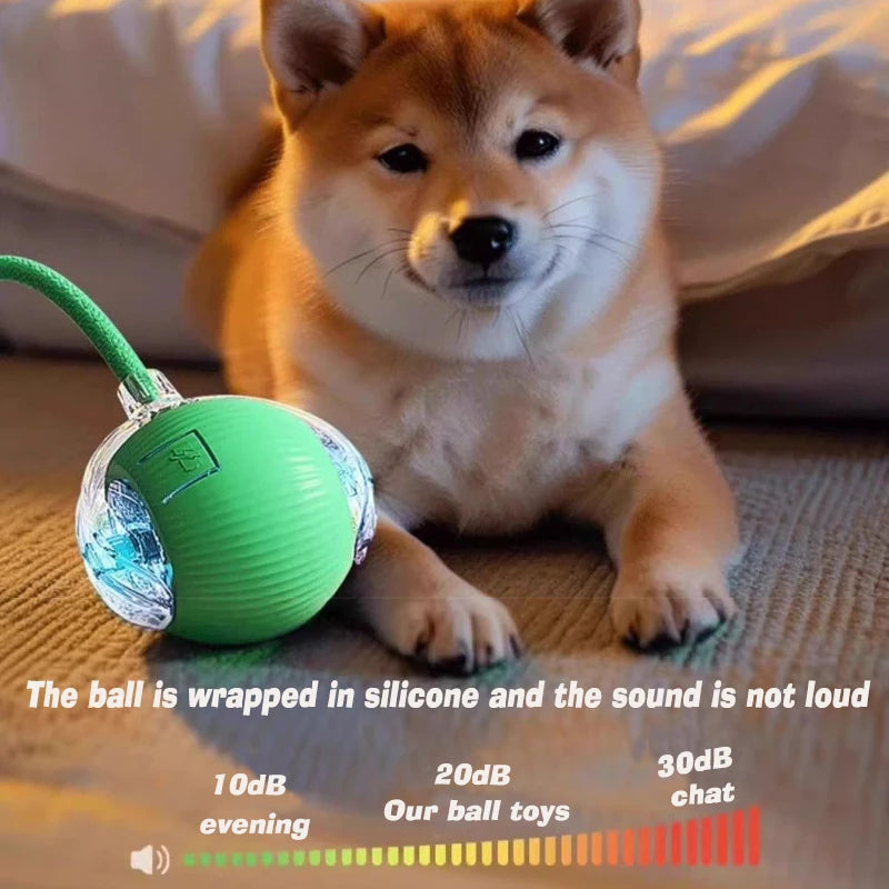 Petflx Smart Rolling Ball – Interactive Pet Toy