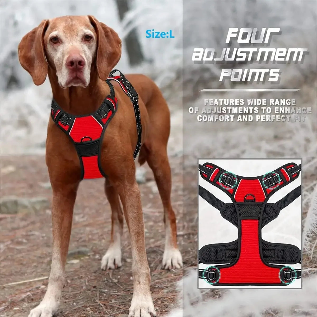 Petflx WalkSet