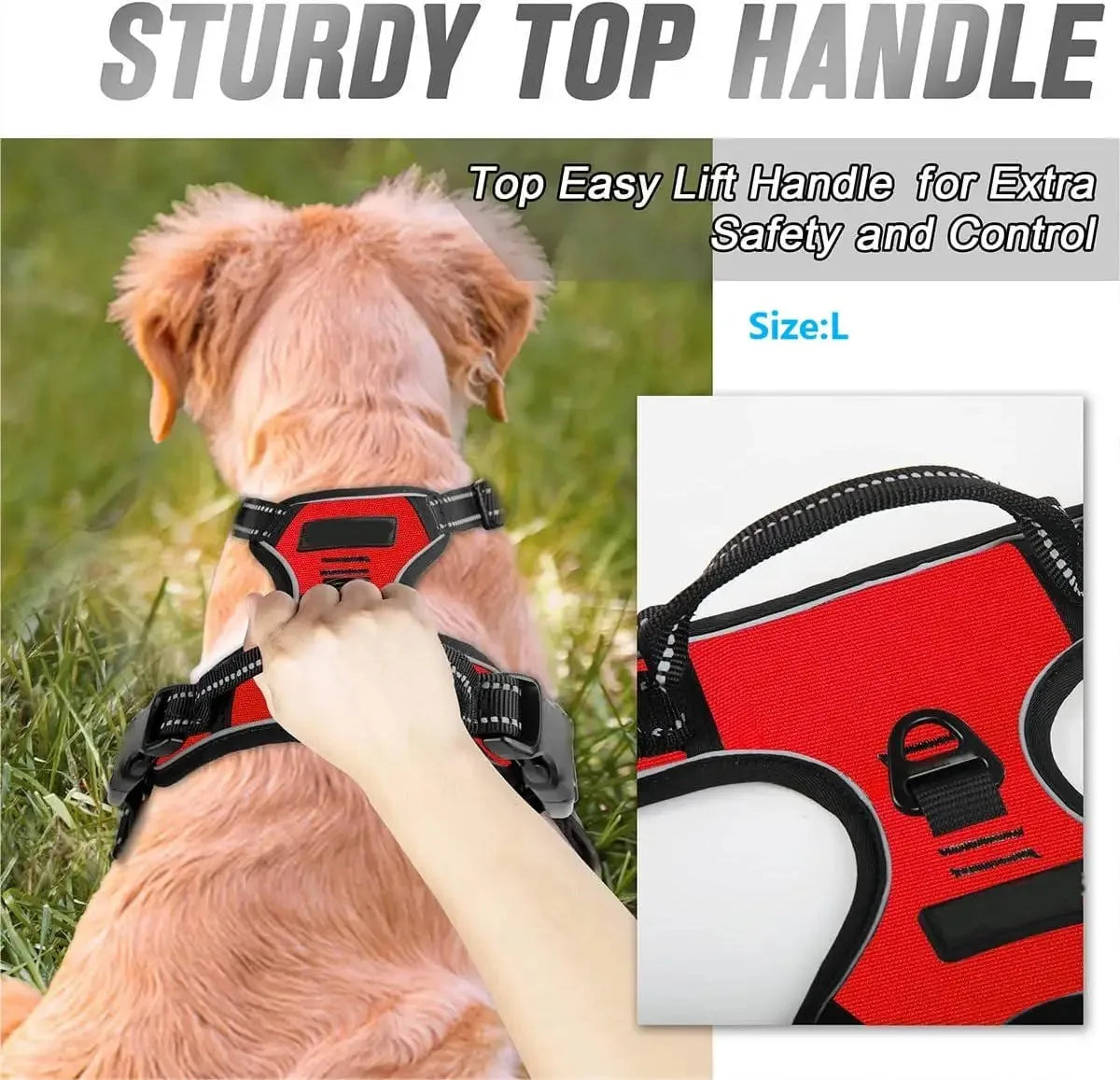 Petflx WalkSet