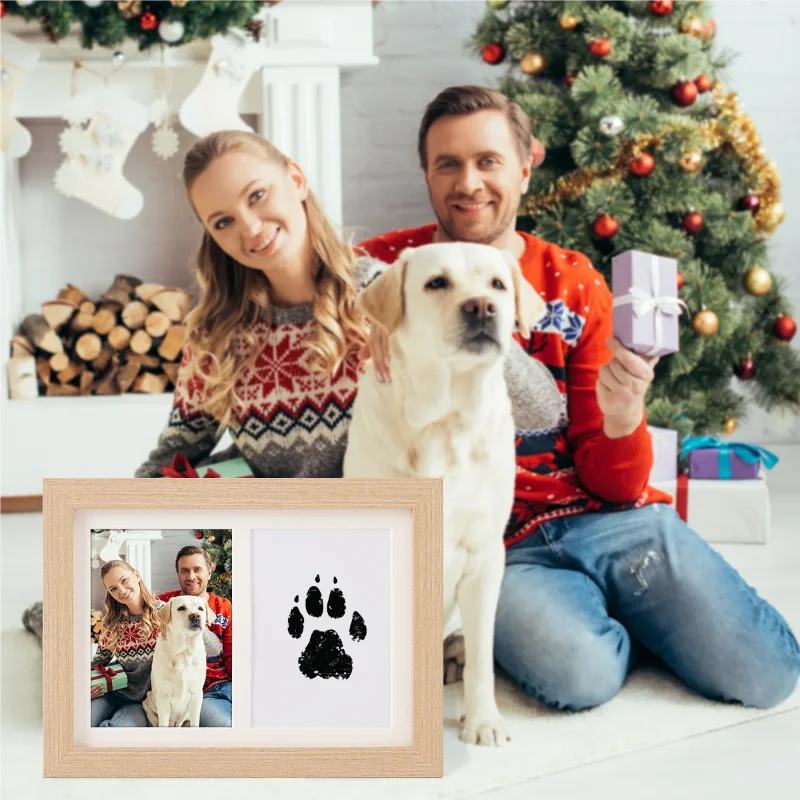 PetFlx PawPrint Keepsake Kit