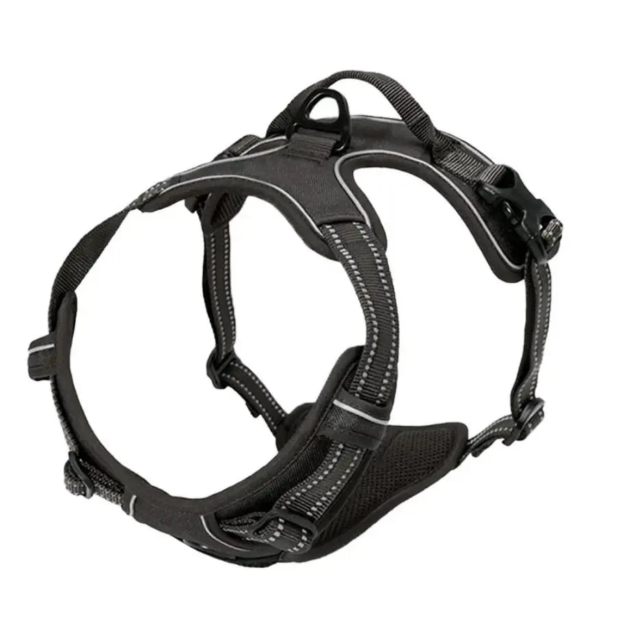 Petflx WalkSet